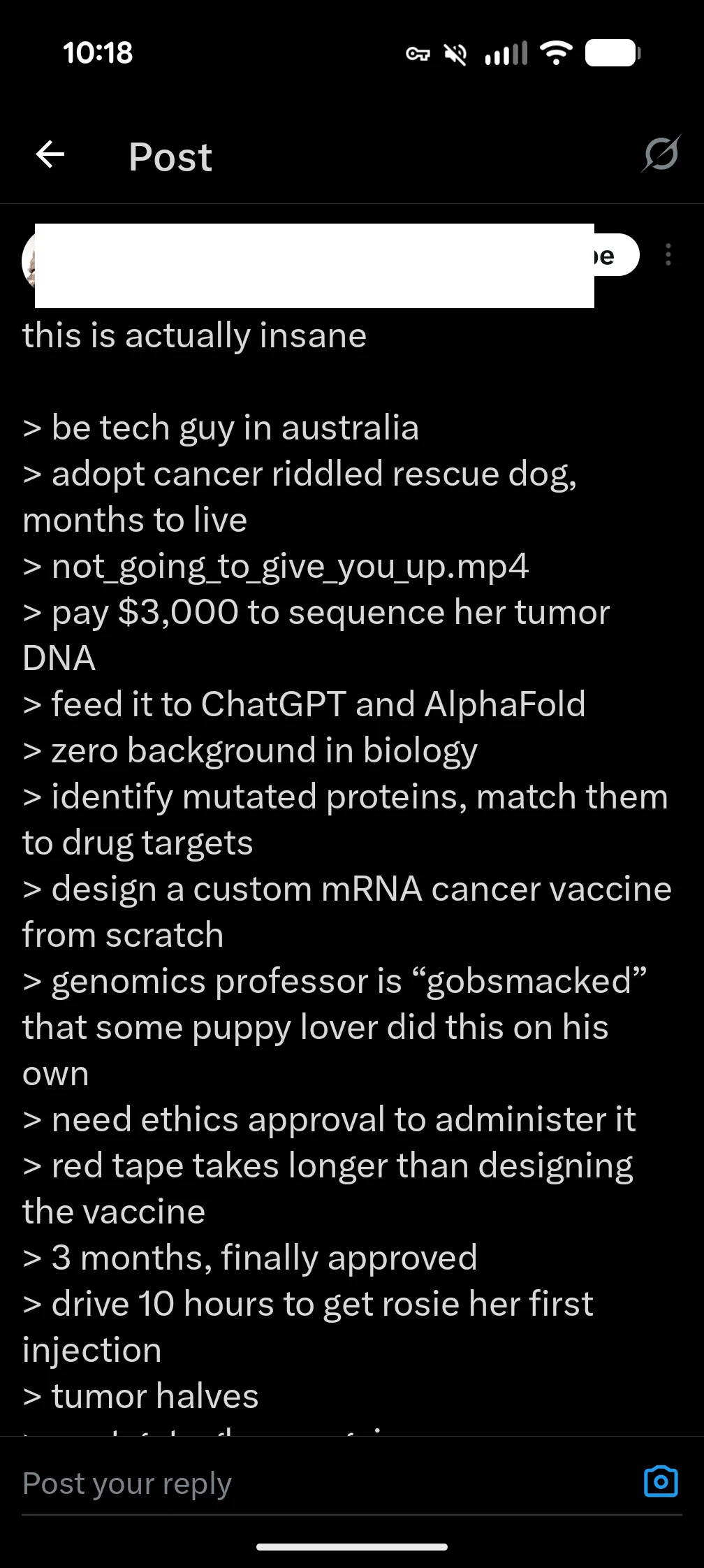 Screenshot of viral X post about Paul Conyngham building a cancer vaccine for his dog using AI — greentext-style breakdown of the story.